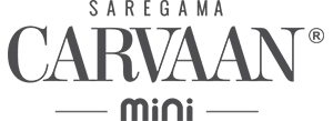 Carvaan Mini