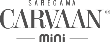 Carvaan Mini