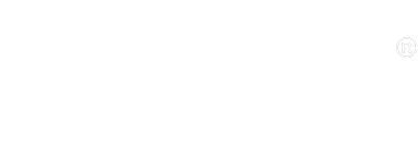 Carvaan Mini