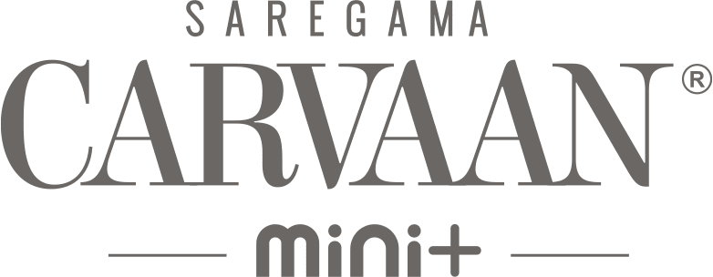 Carvaan Mini Plus