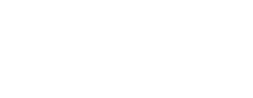 Carvaan Mini