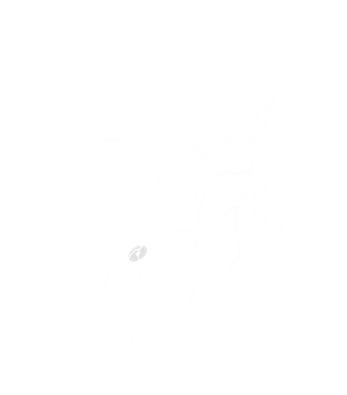 thunder